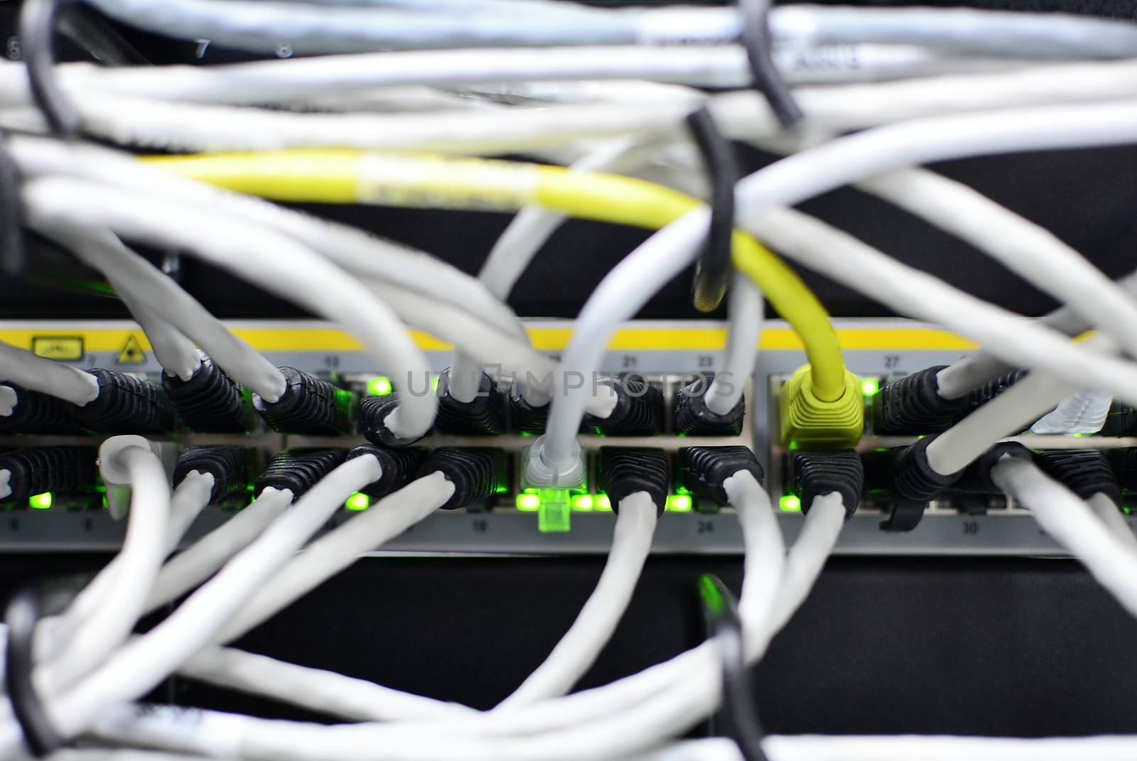 White networking patch cables plug to the ethernet RJ45 port in networking switch. Green led lights.