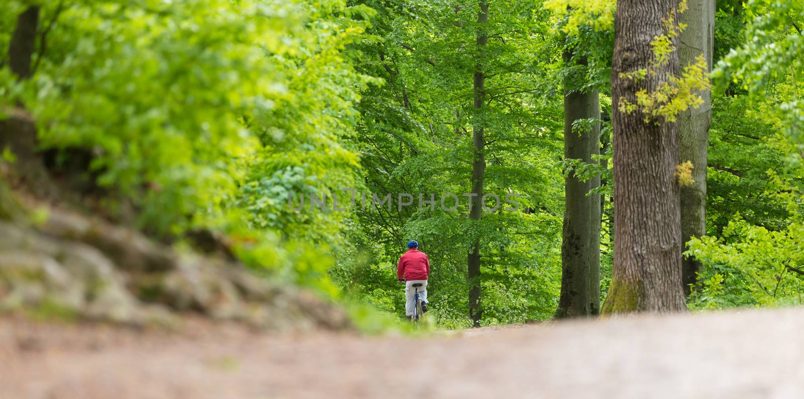 Cyclist Riding Bycicle on Forest Trail. by kasto