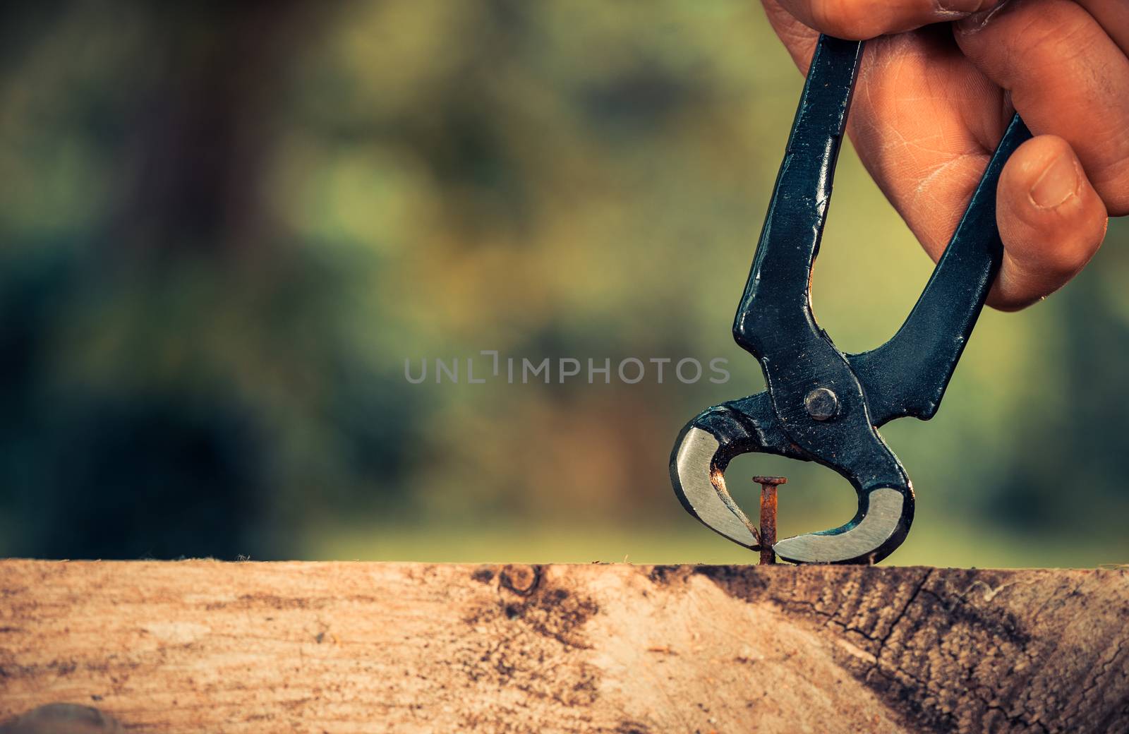 Pulling a carpenter tip on wood with pliers outdoor