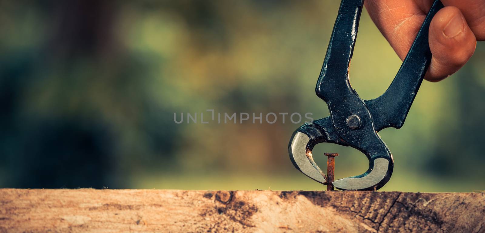 Pulling a carpenter tip on wood with pliers outdoor