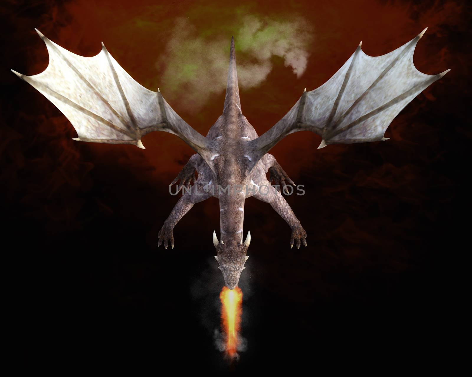 3D Illustration; 3D Rendering of a Dragon by 3quarks