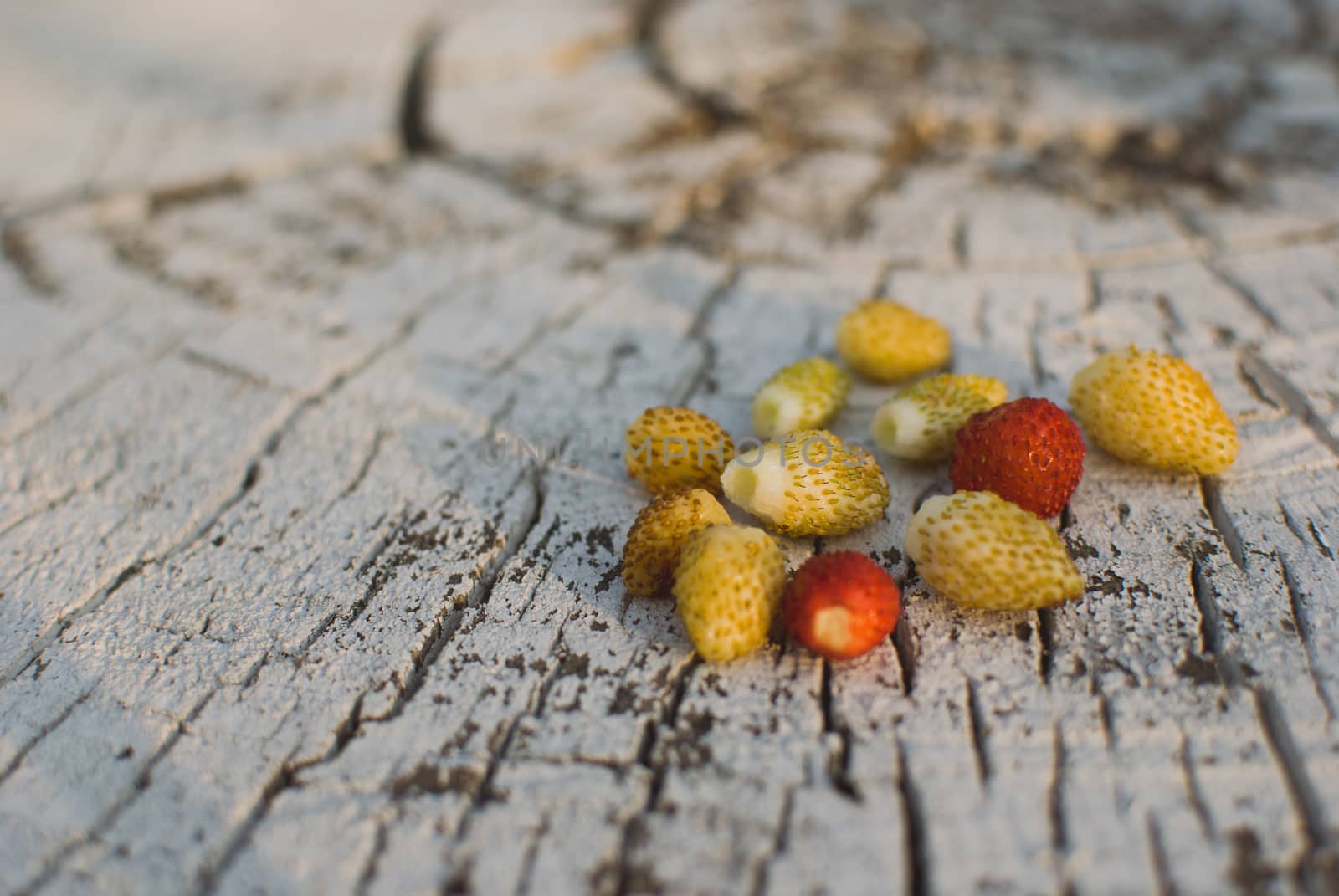 yellow and red Strawberry on the old tree stump with cracks.