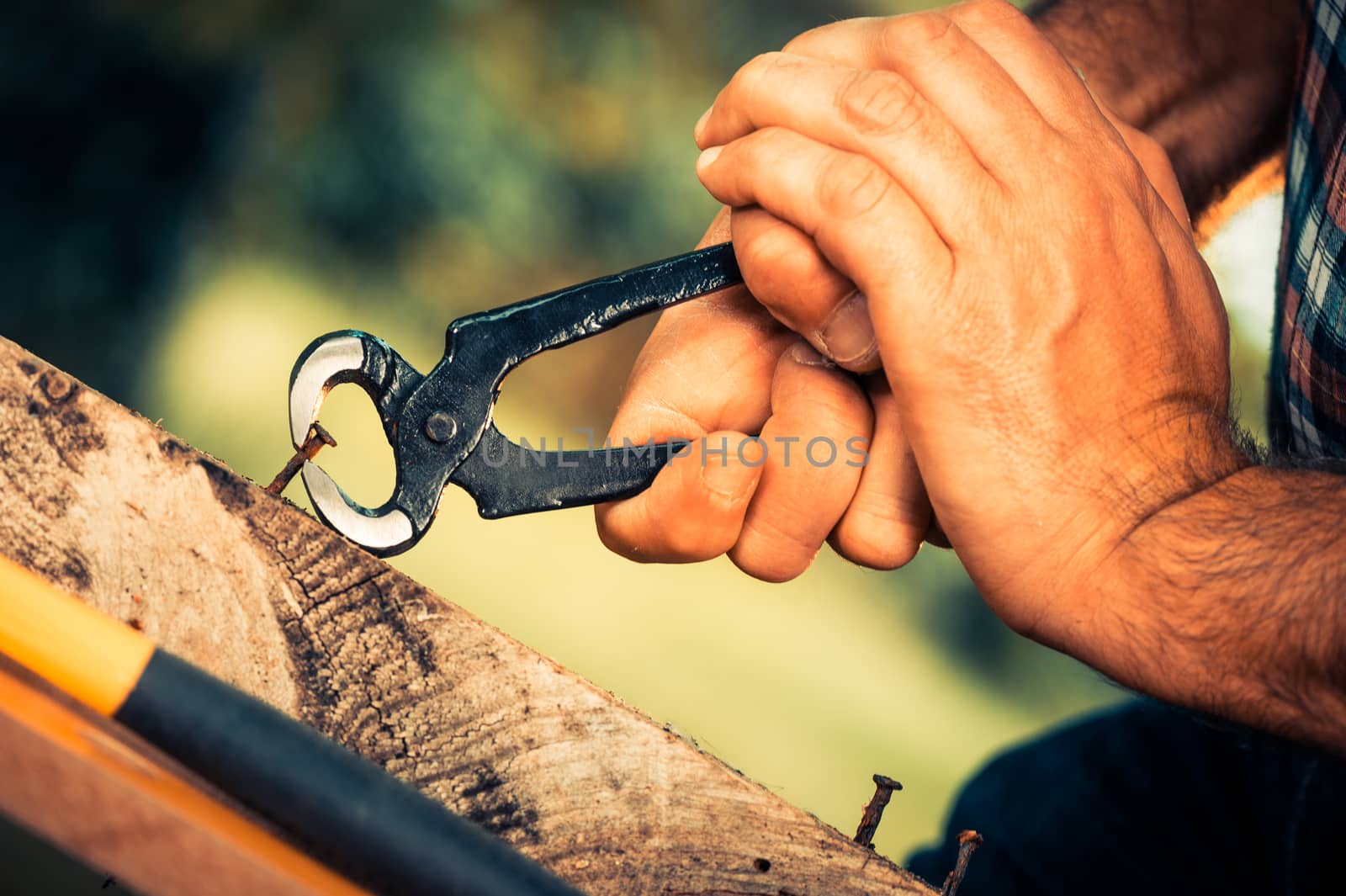 Pulling a carpenter tip on wood with pliers outdoor