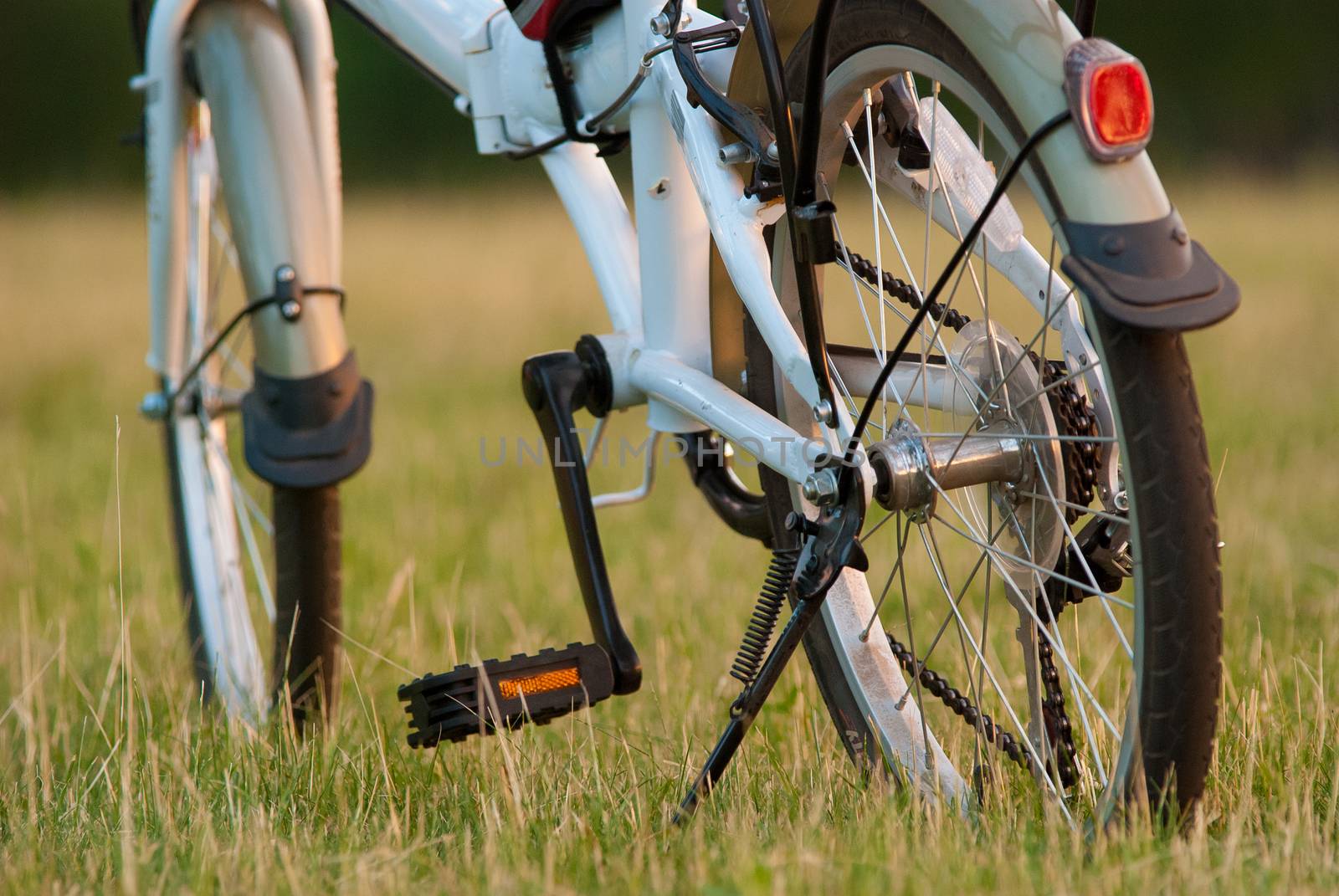 detail of bicycle closeup on grass field.