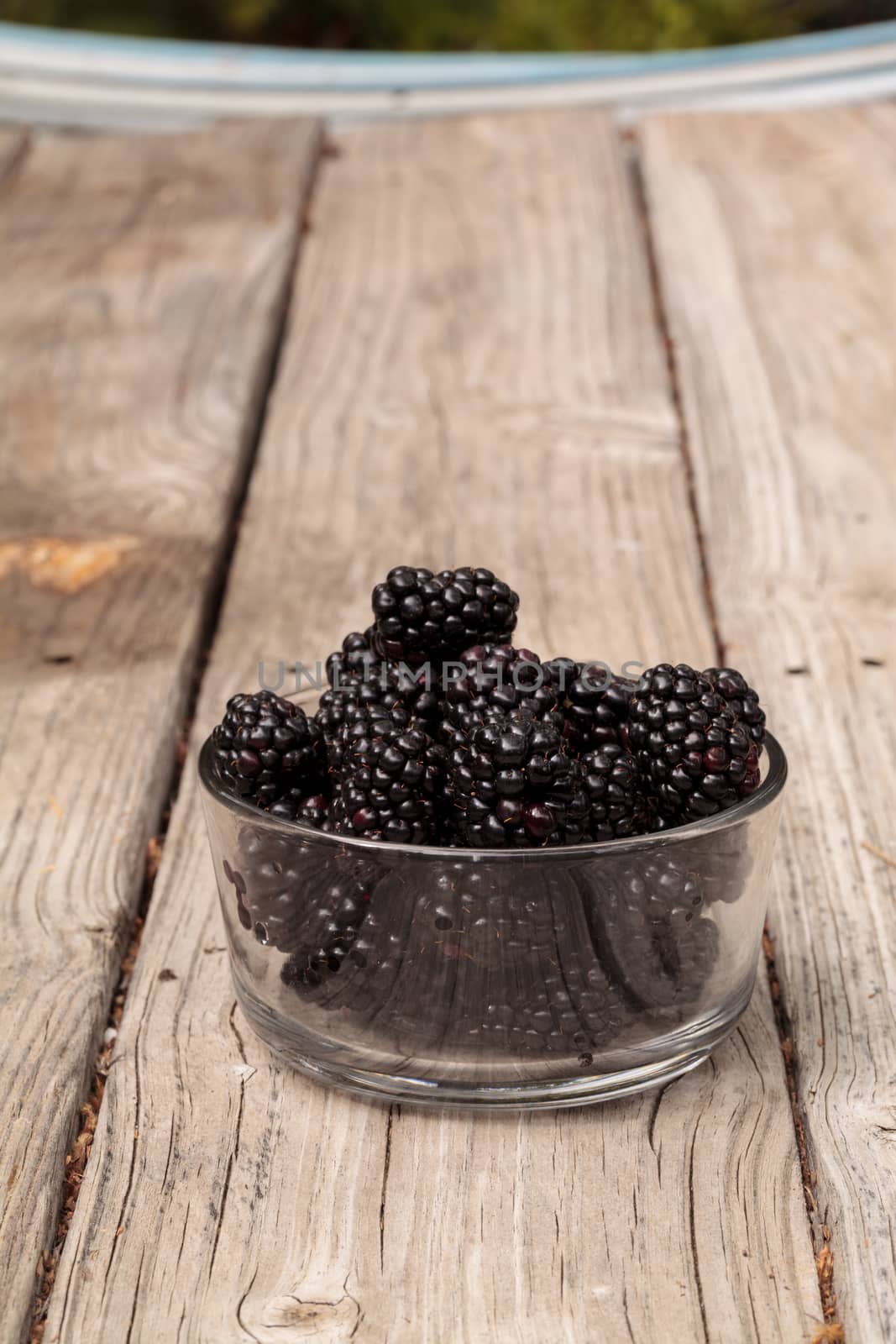 Clear glass bowl of ripe blackberries on a rustic farm picnic table in summer.