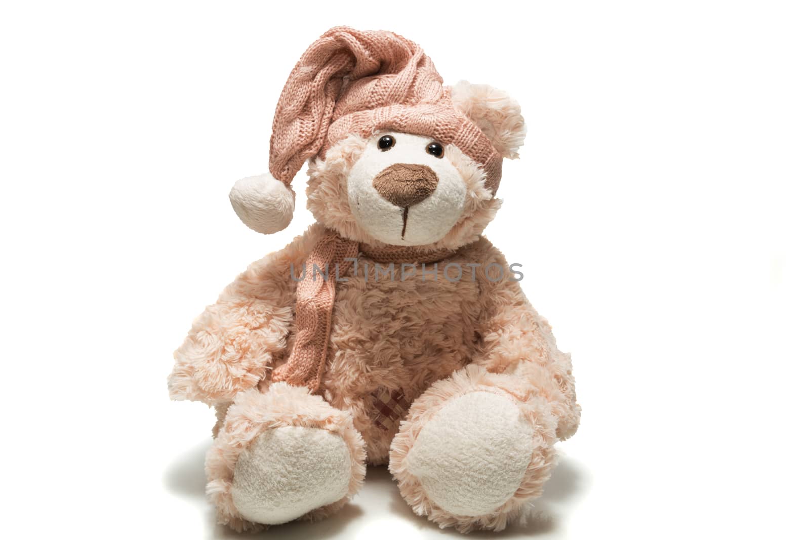 teddy bear in a cap by AlexBush