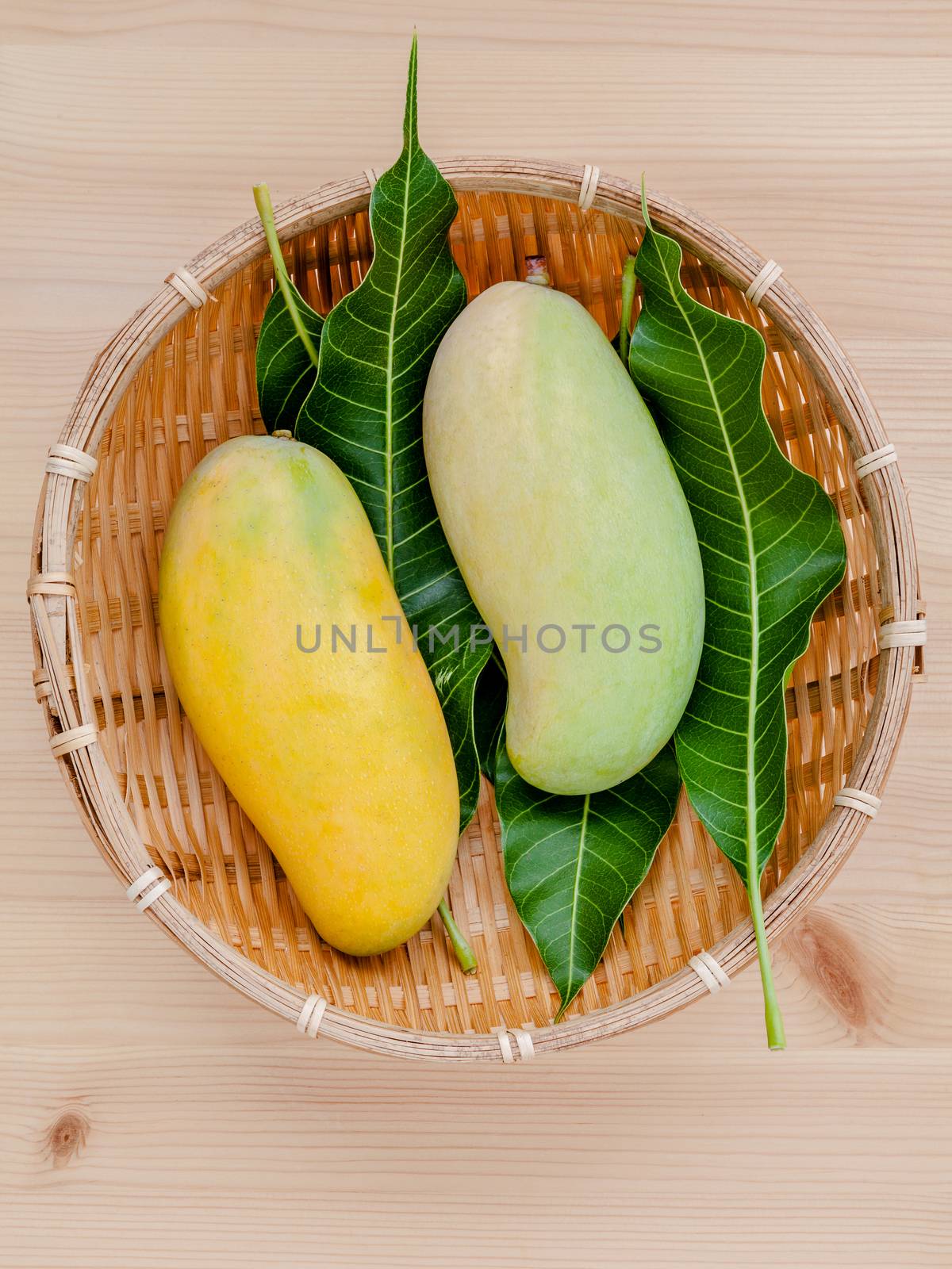 Fresh organic traditional thai mangoes high vitamins and minerals set up on wooden table.