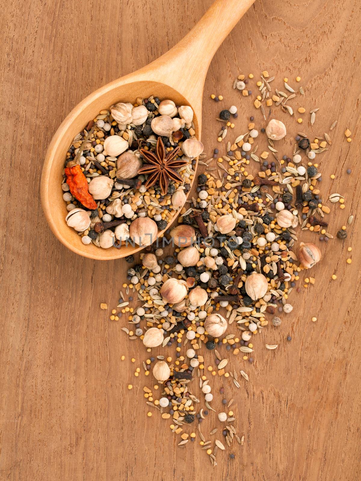 Assorted of spices  in wooden spoon  black pepper ,white pepper, black mustard,yellow mustard,fenugreek,cumin ,curry powder ,paprika and  fennel seeds on teak wood background.