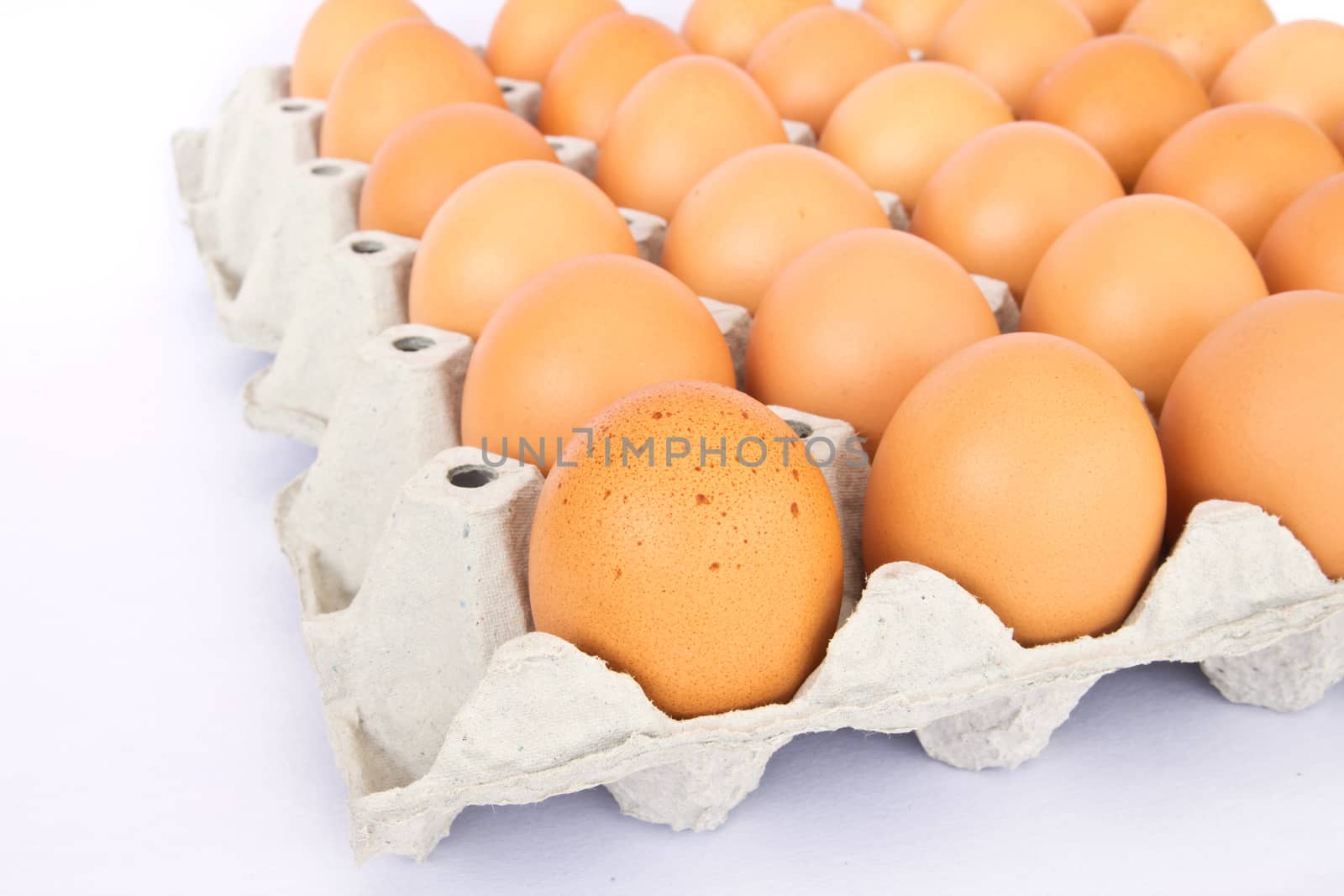 eggs in a package to isolate the background 