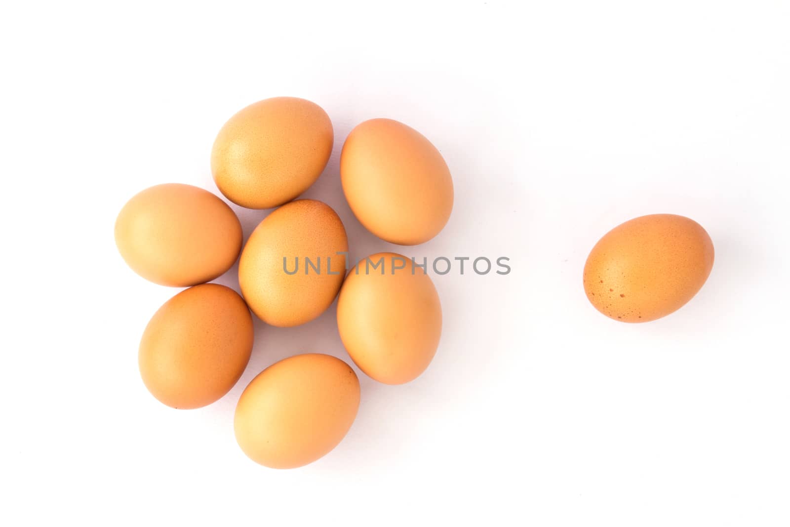 eggs isolated on white background 
