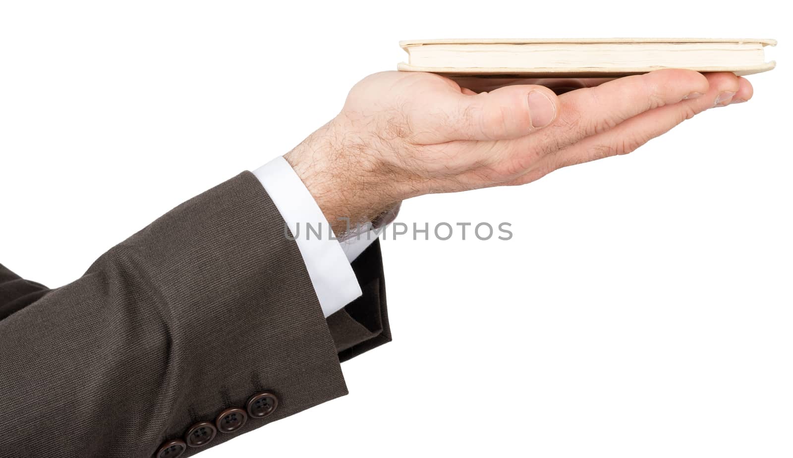 Business man hands holding book isolated on white background, closeup
