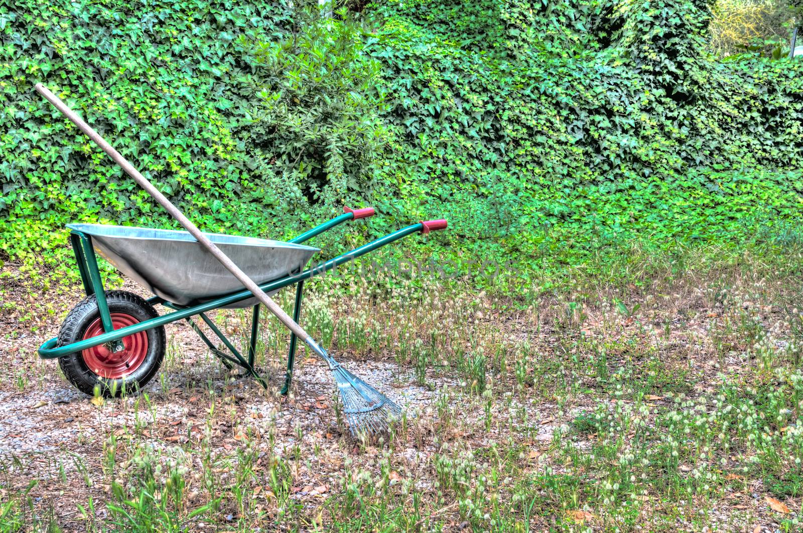 hdr of wheelbarrow in a garden and a rake