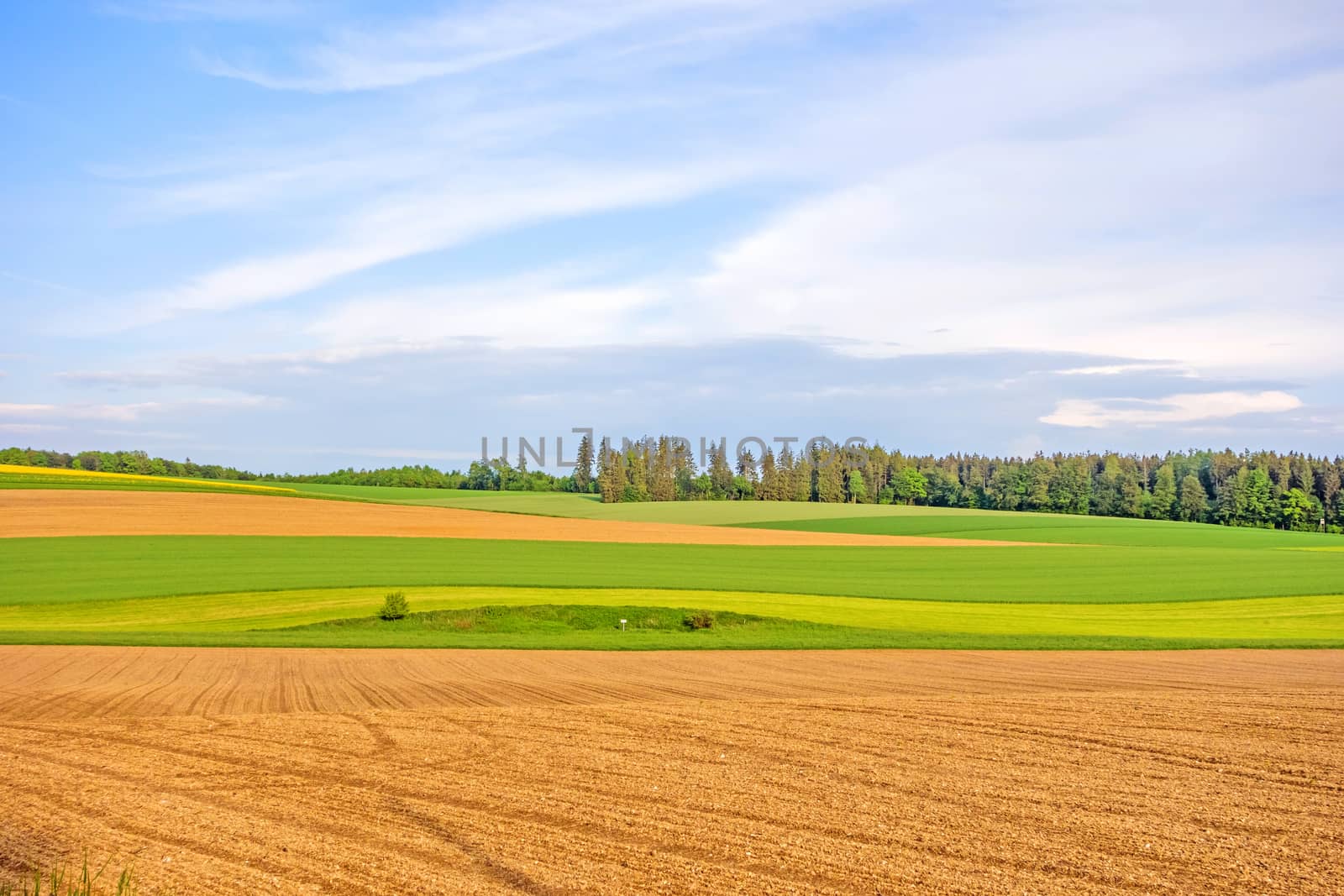 Farmland - brown fields, green meadow by aldorado