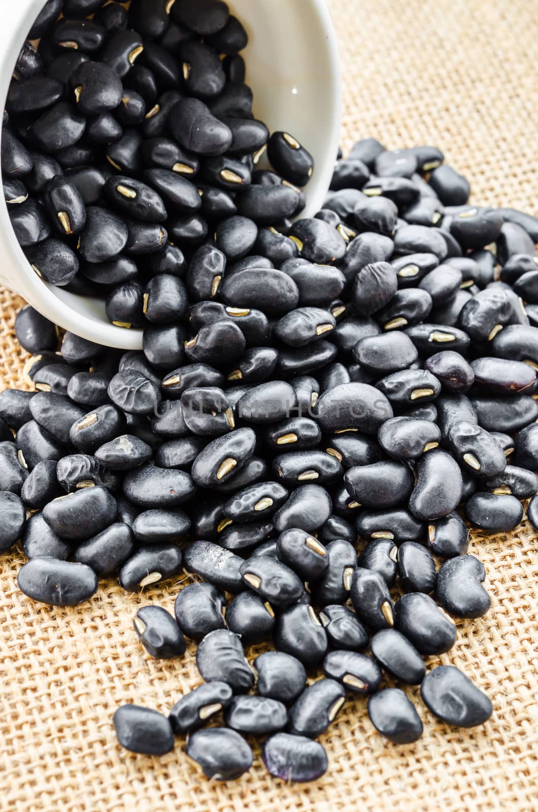 Black Beans with ceramic bowl. by Gamjai