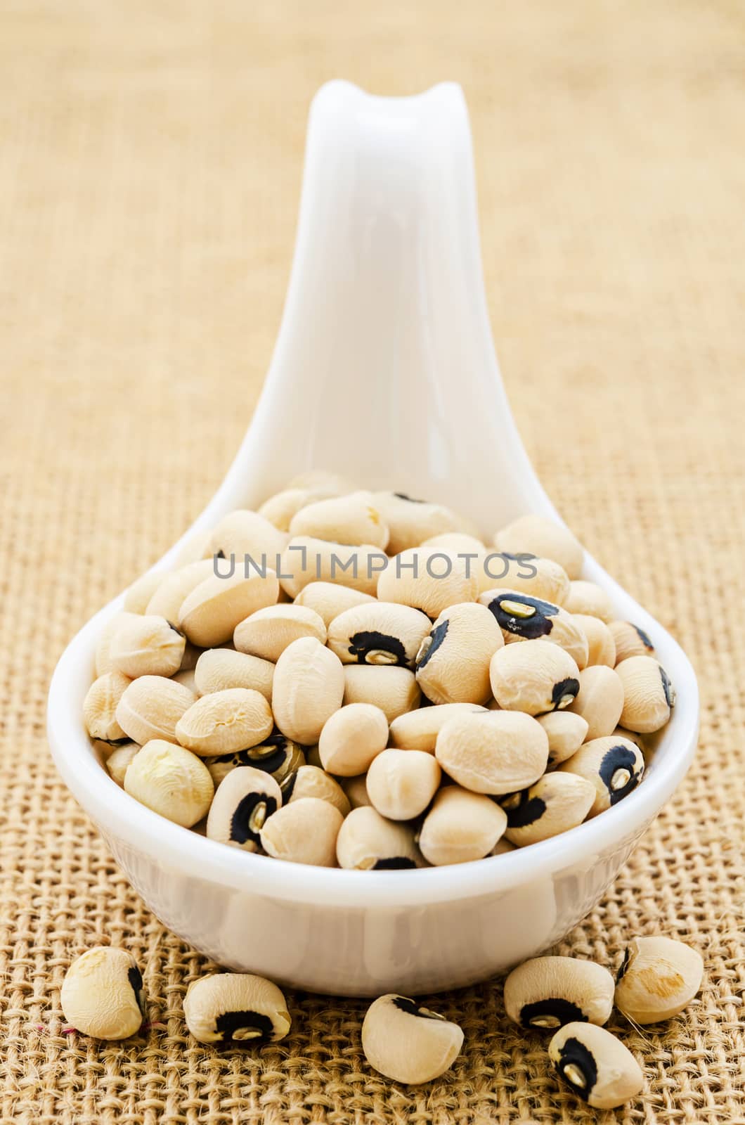 Black eyed peas in a white spoon. Close-up on sack background.