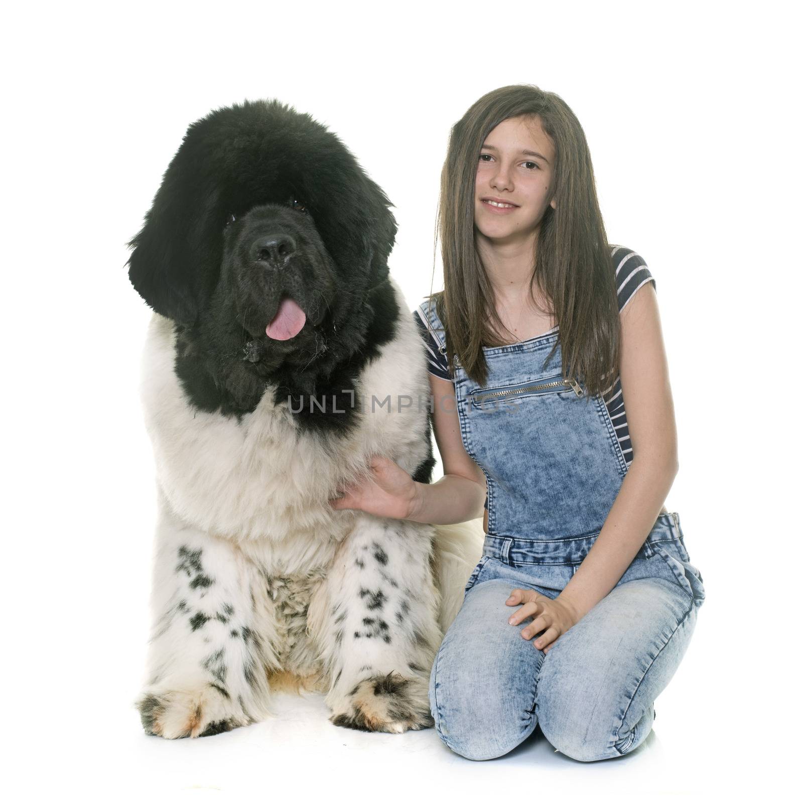 teenager and newfoundland dog in front of white background