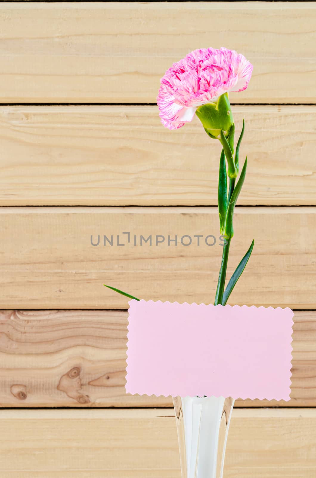 Pretty Pink Carnation Flowers on White Vase with Blank Greeting Card on Wooden Table.