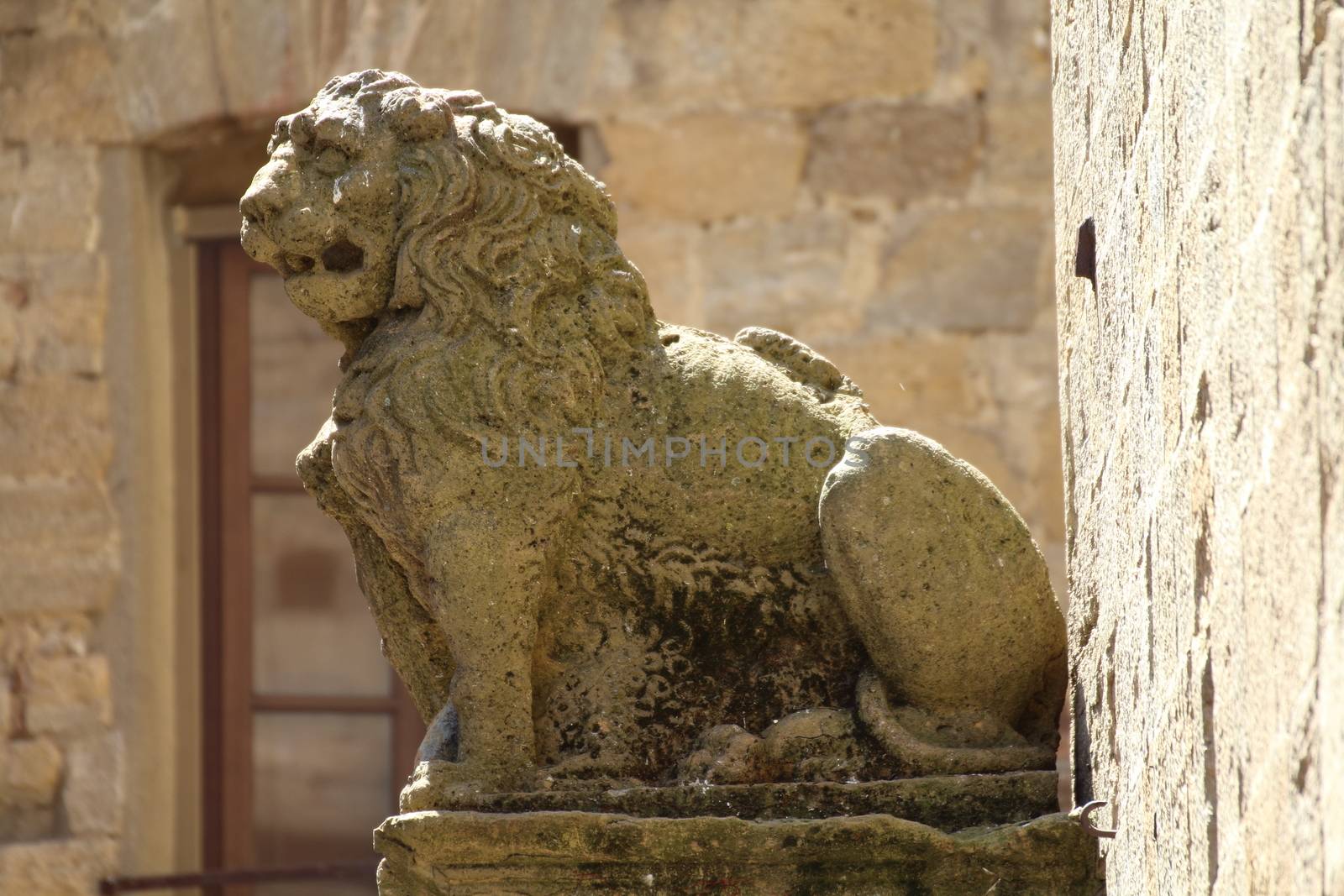 statue of lion