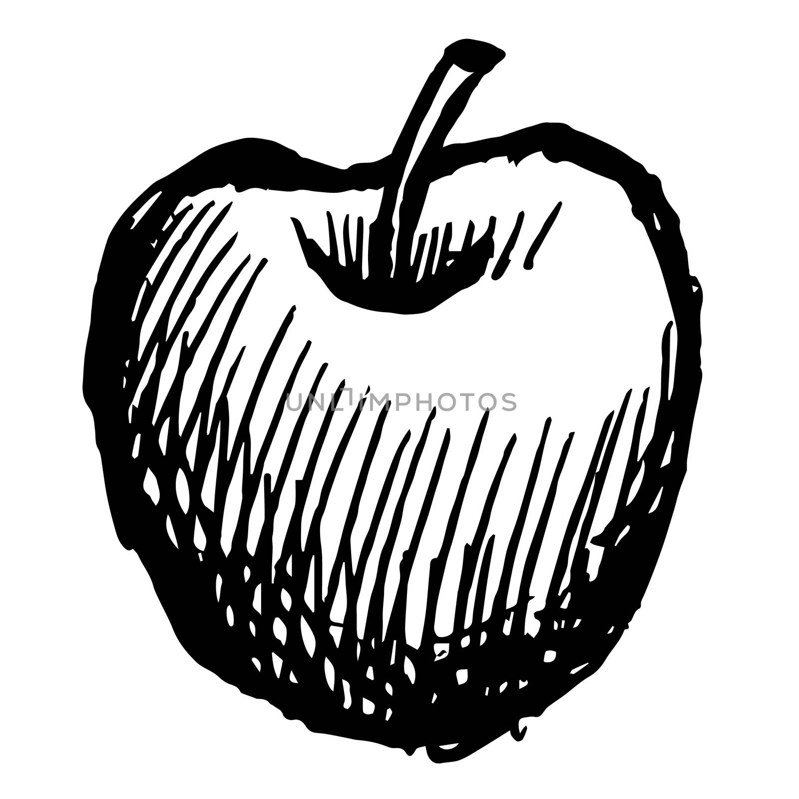 freehand sketch illustration of apple doodle hand drawn