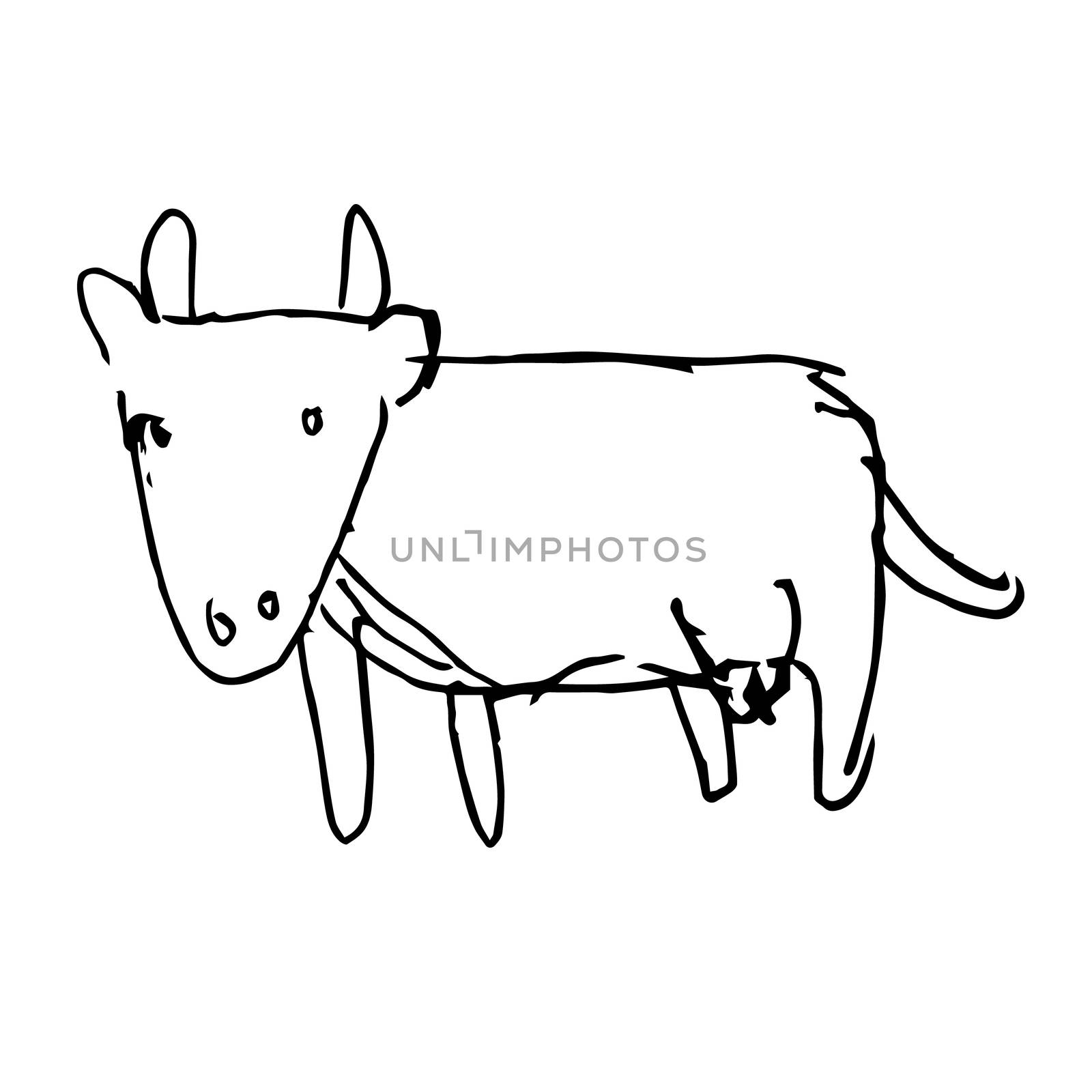 freehand sketch illustration of cow doodle hand drawn in kid style