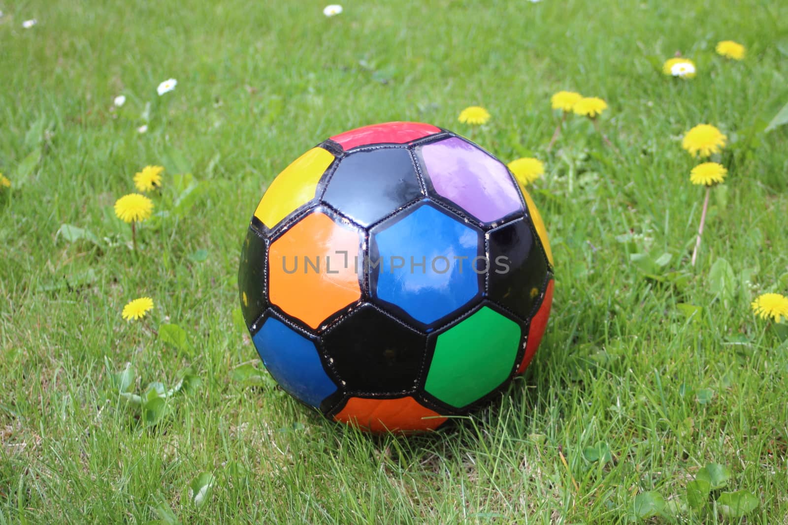 Colorful  soccer ball in a grass field with dandelions by HoleInTheBox