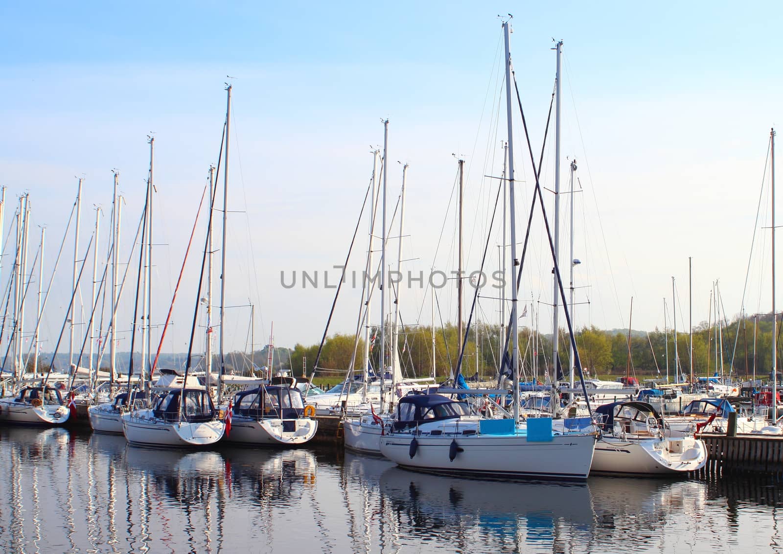 Yacht harbor in east Denamrk with forest in background by HoleInTheBox
