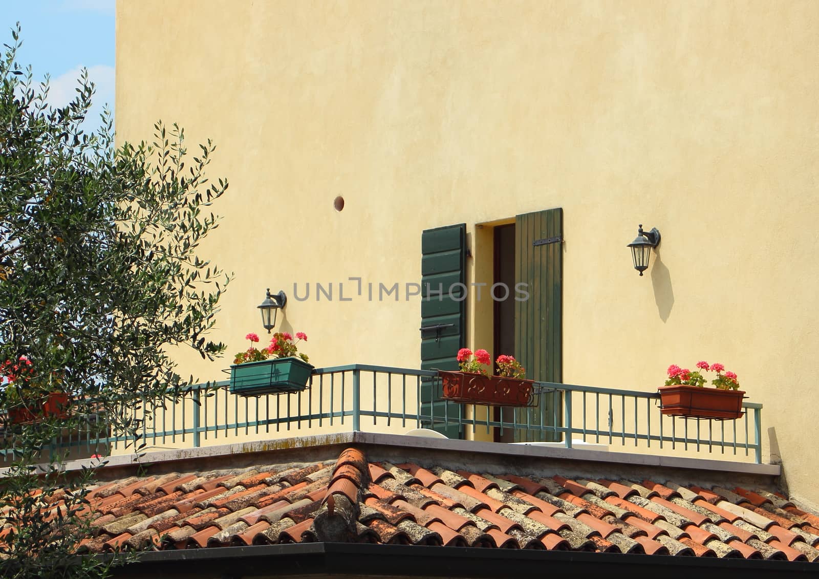 Southside balcony at midday with olivetree by HoleInTheBox