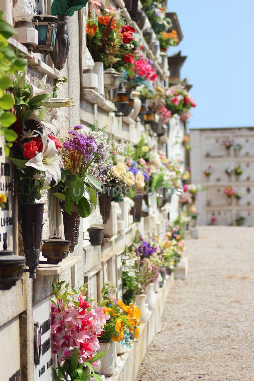Cemetery for urns in italian village with flowers