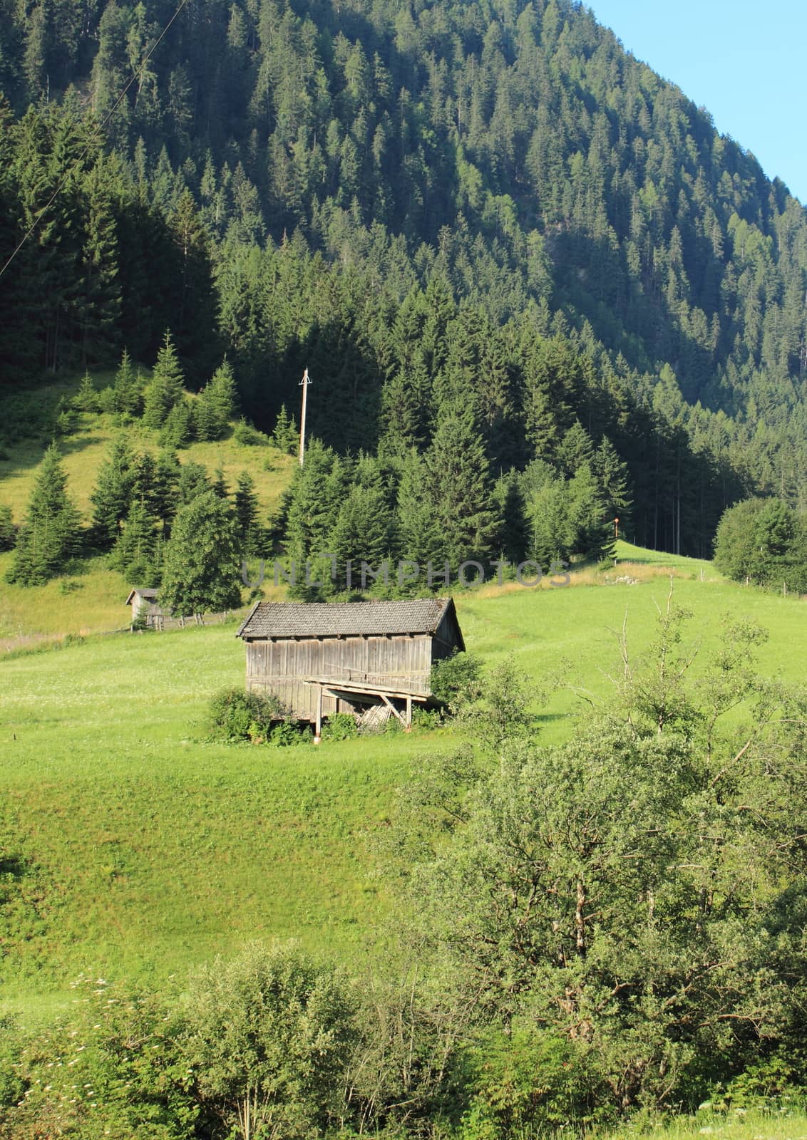 Small shack in hay field on hillside in the Alpes