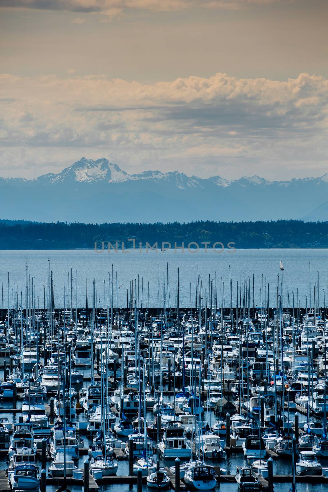 Olympic Mountain Range in distance behind Seattle marina
