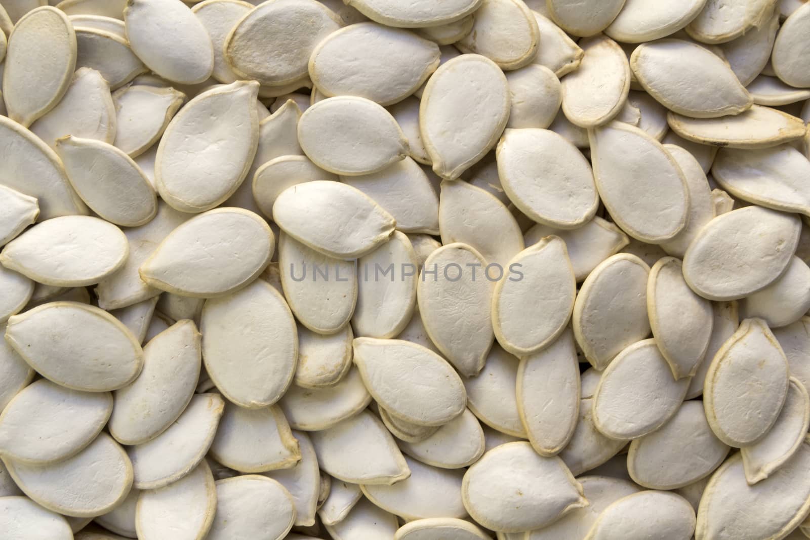 White raw in shell pumpkin seeds close-up background