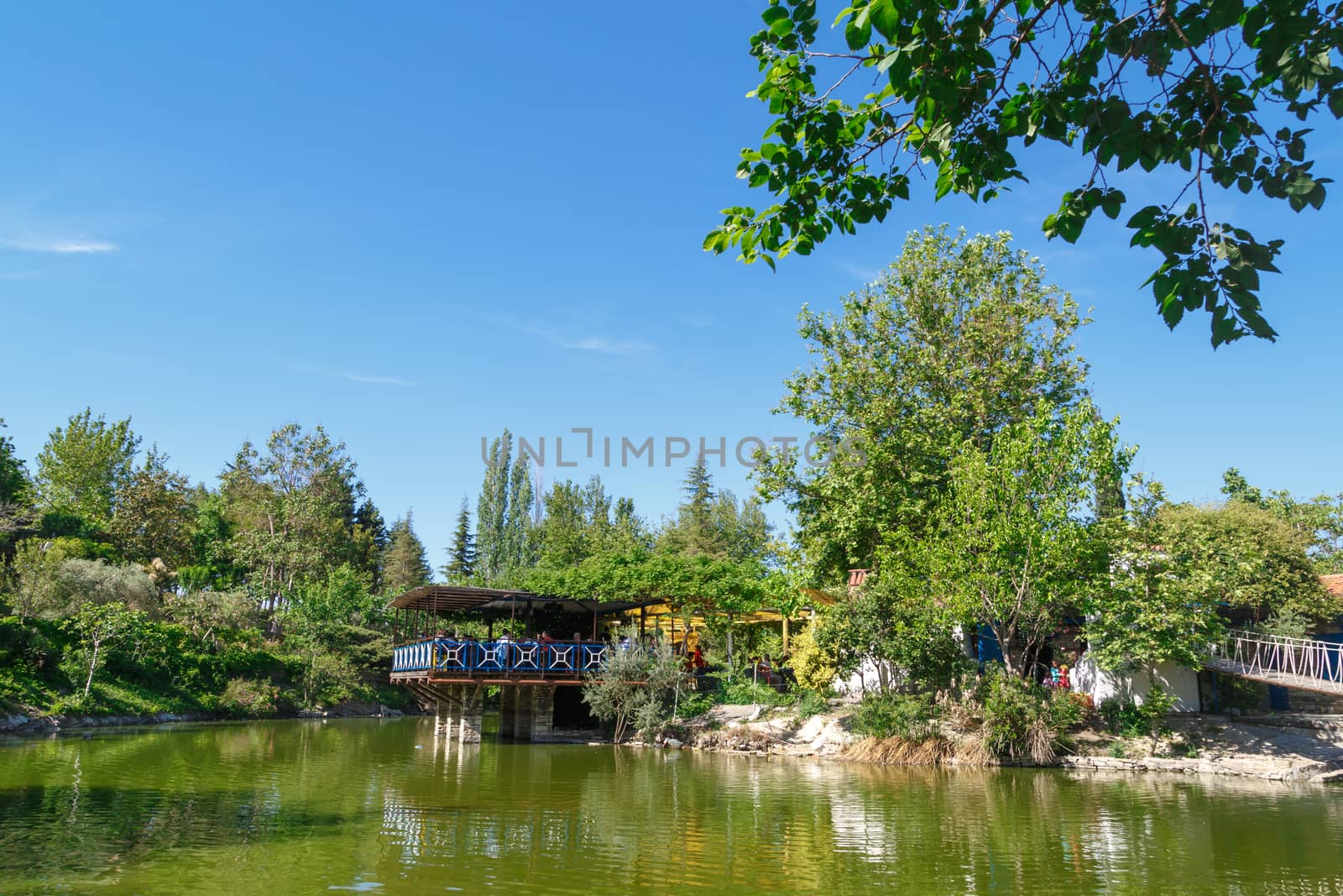 Natural Park with Lake by niglaynike