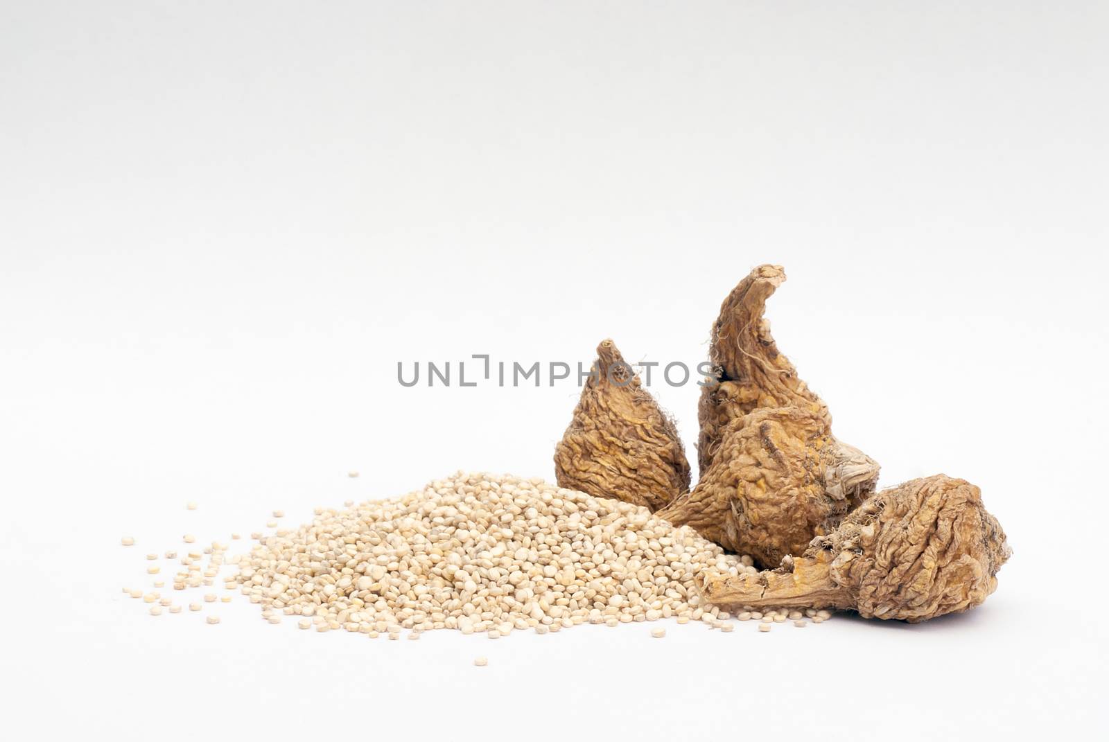 Peruvian ginseng or maca (Lepidium meyenii) and quinoa (Chenopodium quinoa ), superfood