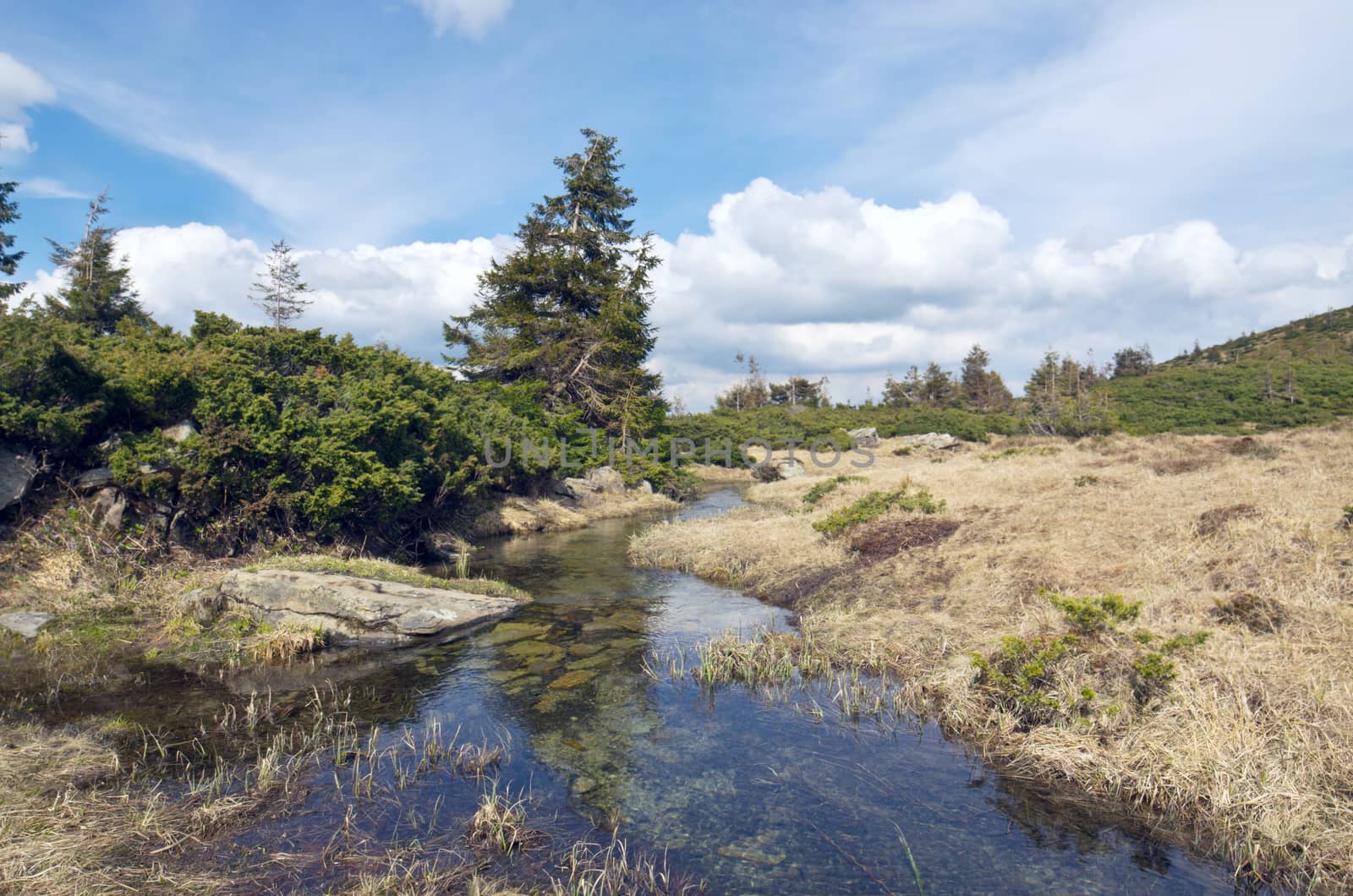 Spring landscape with river, forest, cloudy sky