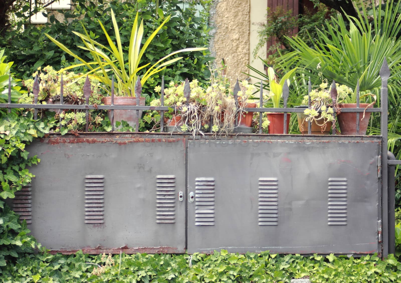 Plants and pots on an eletrical box outside