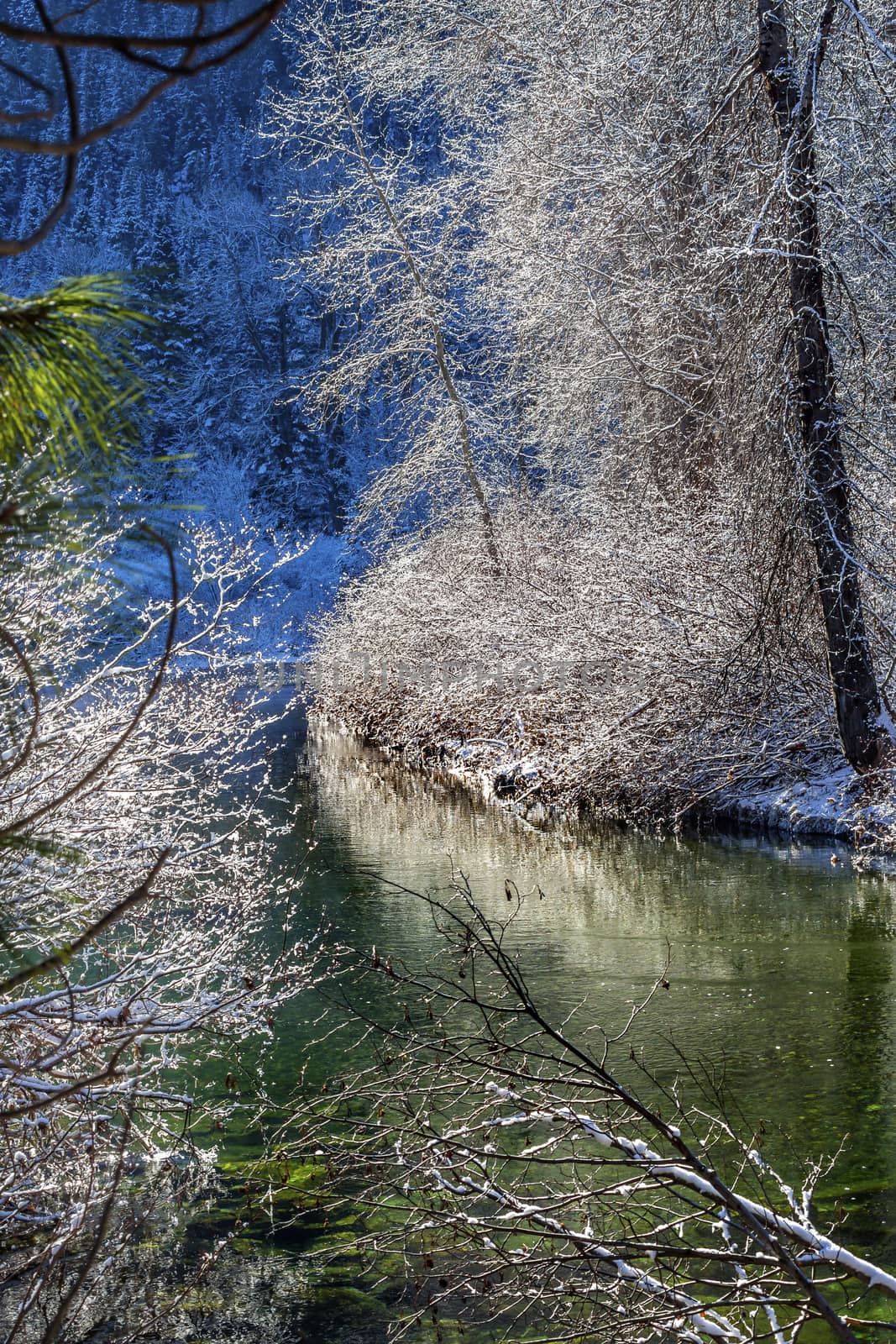 Winter Leaves Snow Ice Wenatchee River Stevens Pass Leavenworth Washington