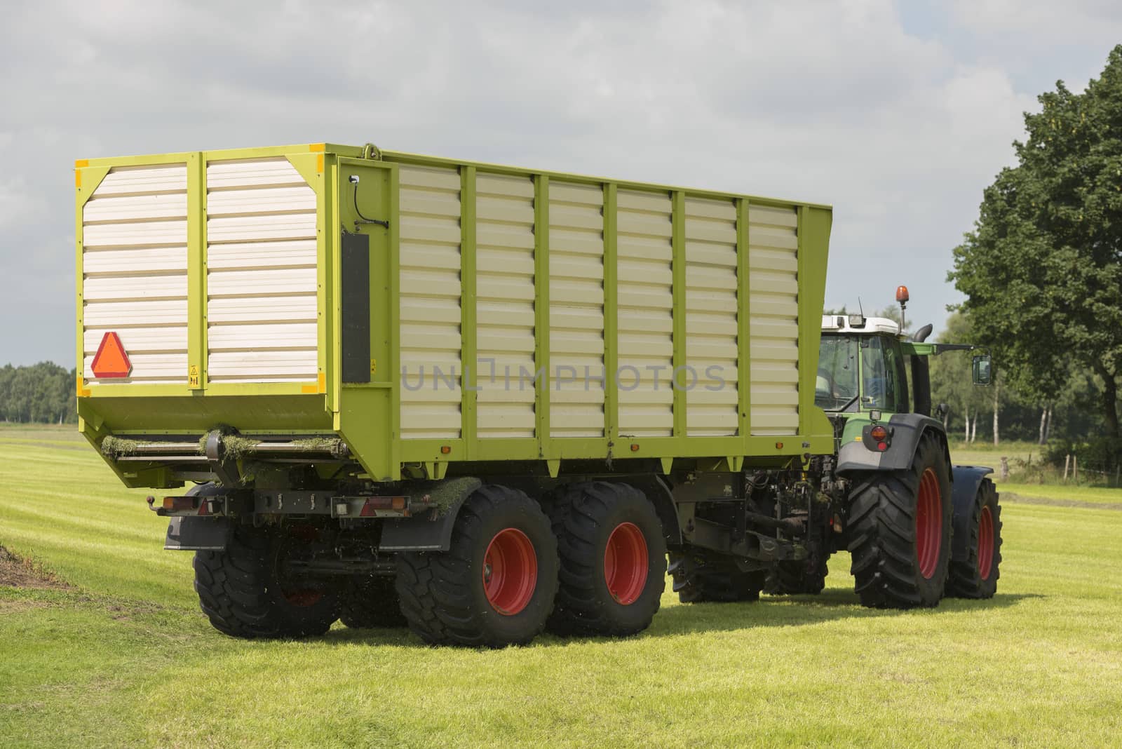 transport of cut grass with tractor and loader wagon in the summer