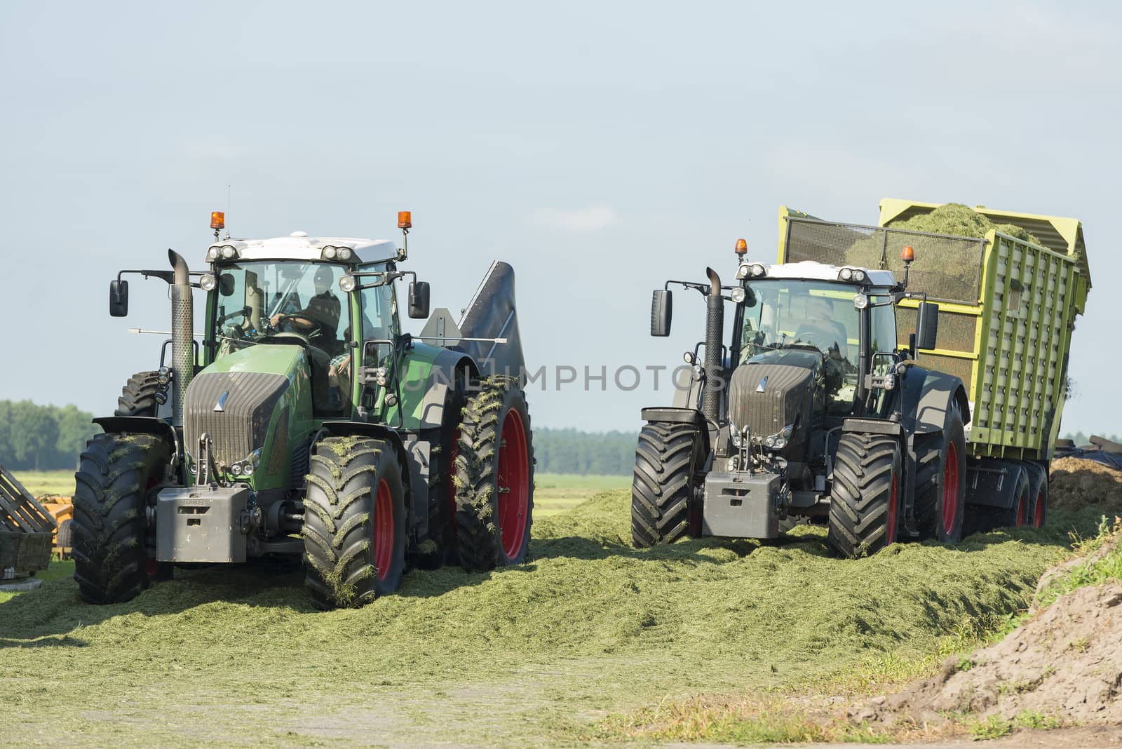 silage with two tractors in the summer