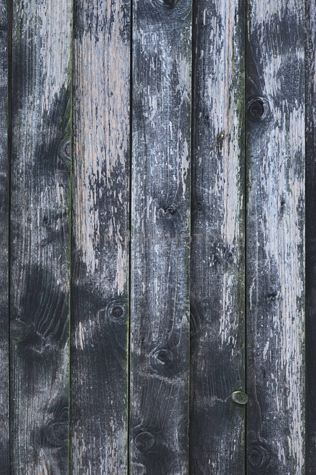 Texture of grey and green plank wood