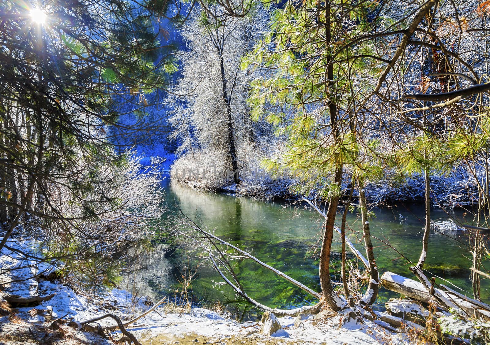 Winter Leaves Snow Ice  Wenatchee River Valley Leavenworth Washi by bill_perry
