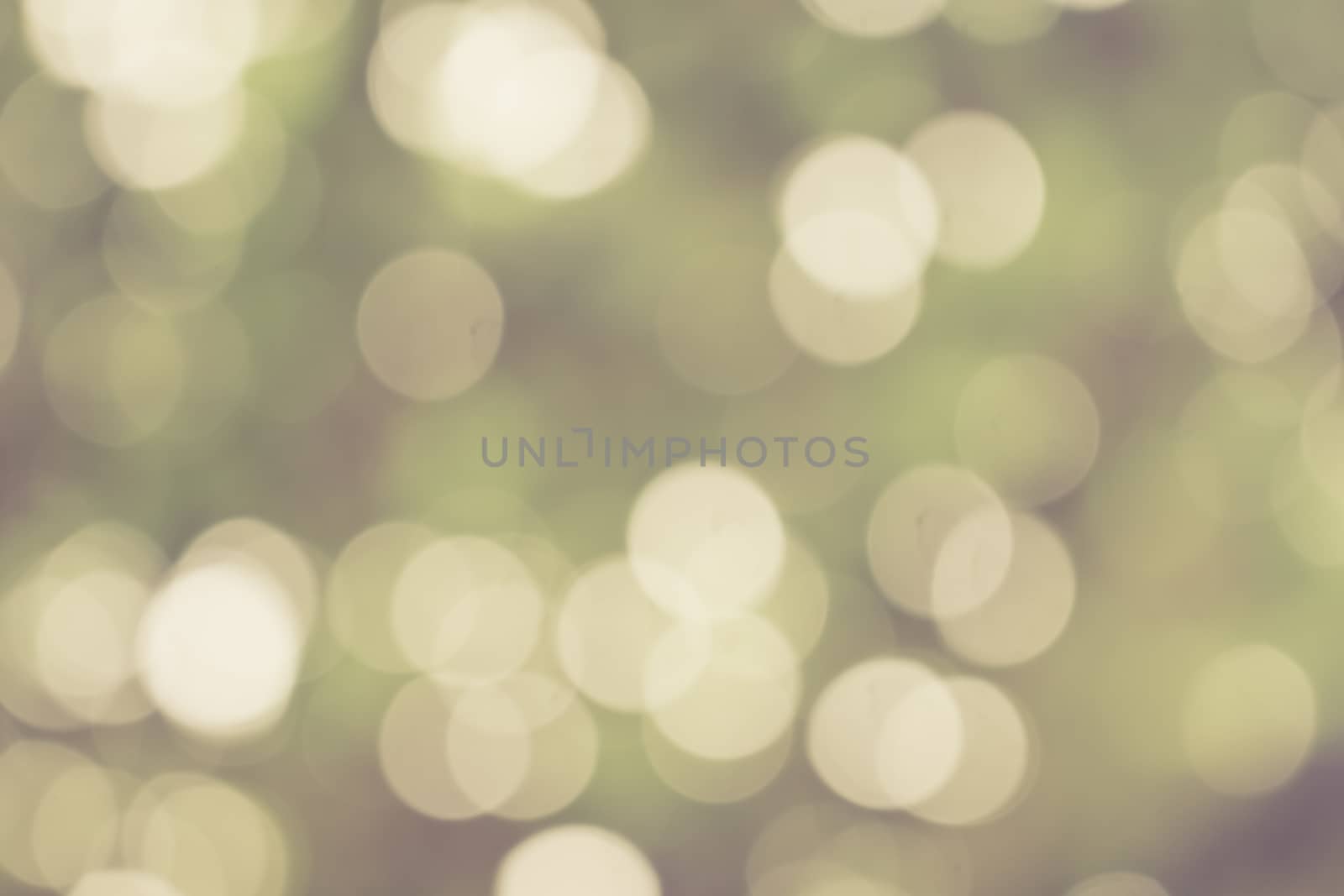 bokeh green nature background, by worrayuth