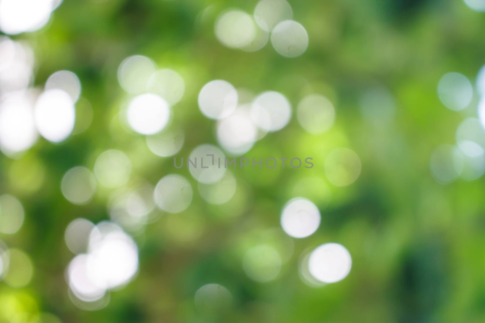 bokeh abstract background by worrayuth
