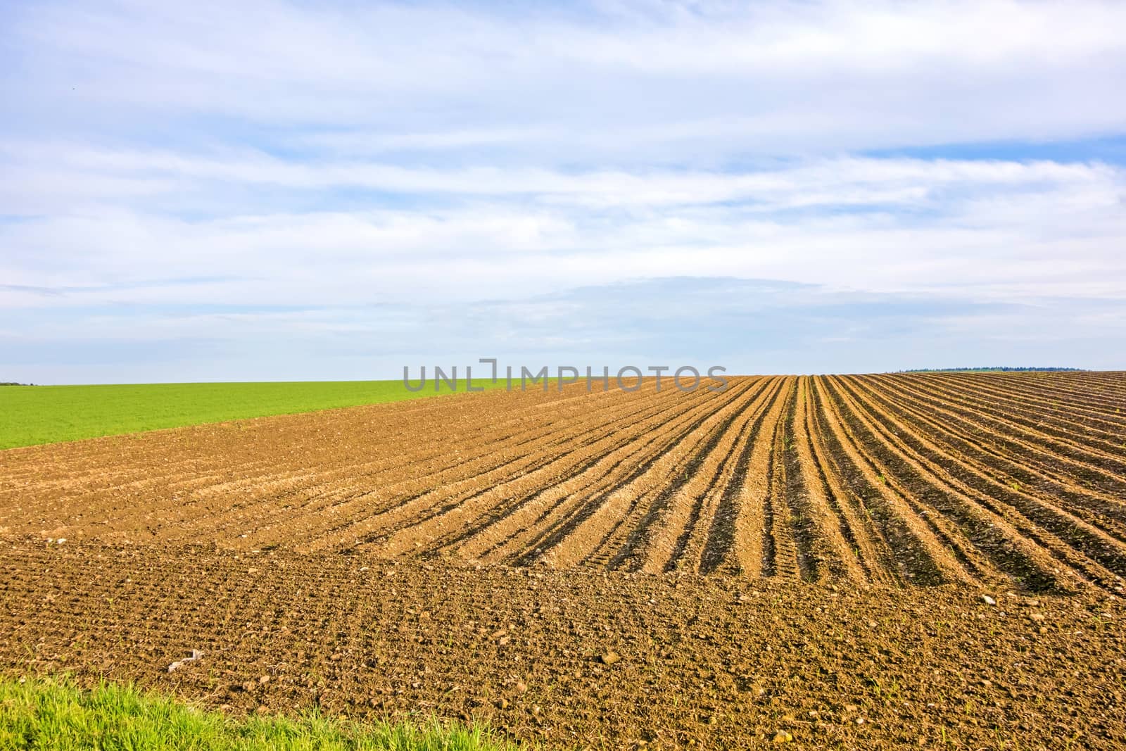 Farmland - brown field, blue sky, rural landscape