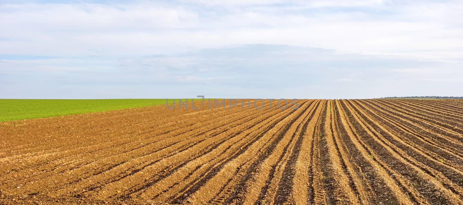 Farmland panorama - brown field, blue sky, rural landscape