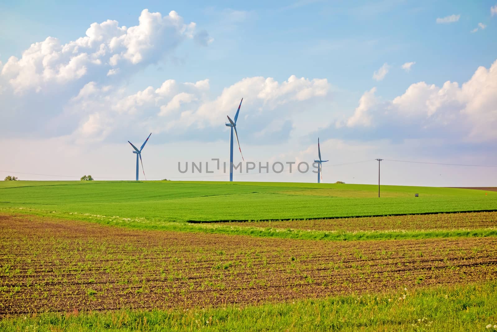 Windmills by aldorado