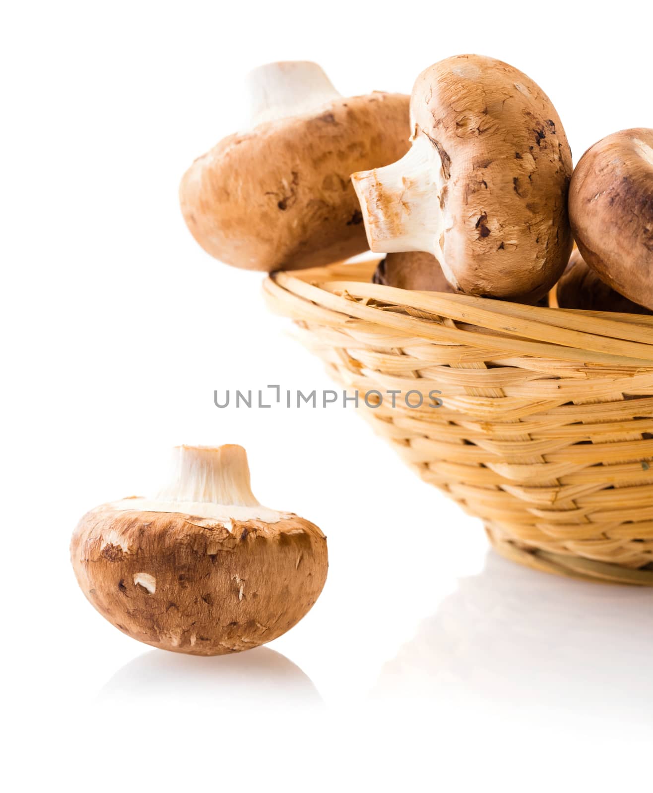 fresh mushrooms in a bowl on white background