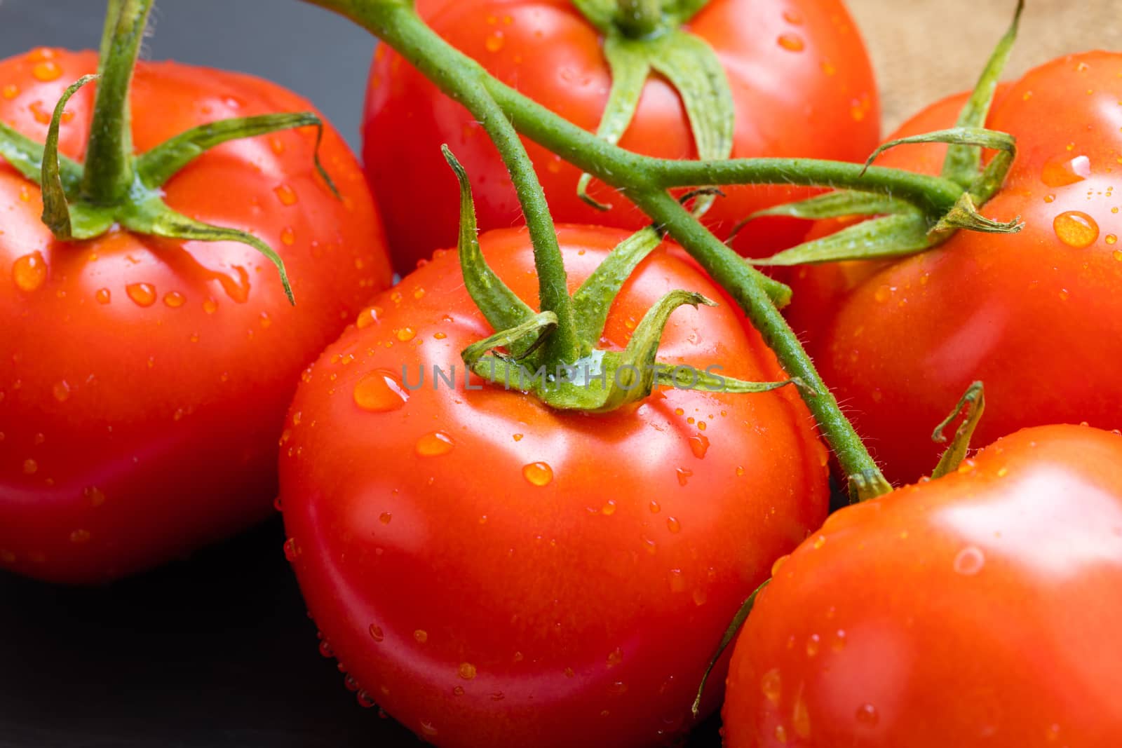 branch of organic tomatoes close-up on a dark background