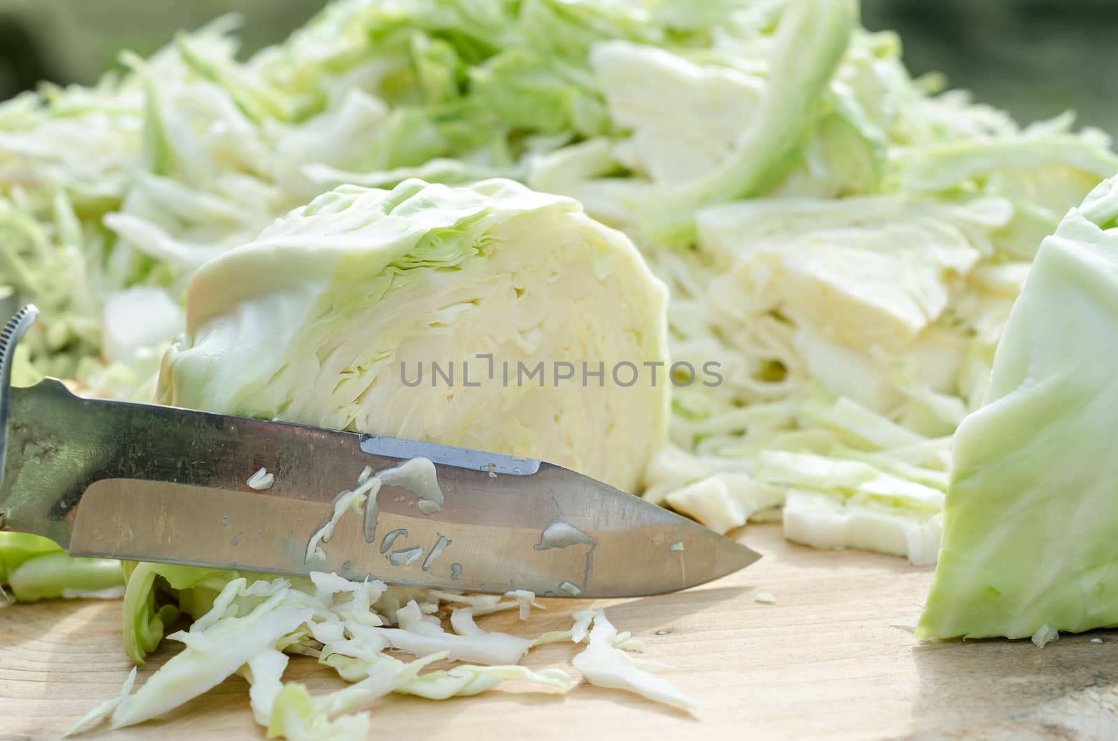 Cabbage is cut by knife on a cutting Board by Gaina