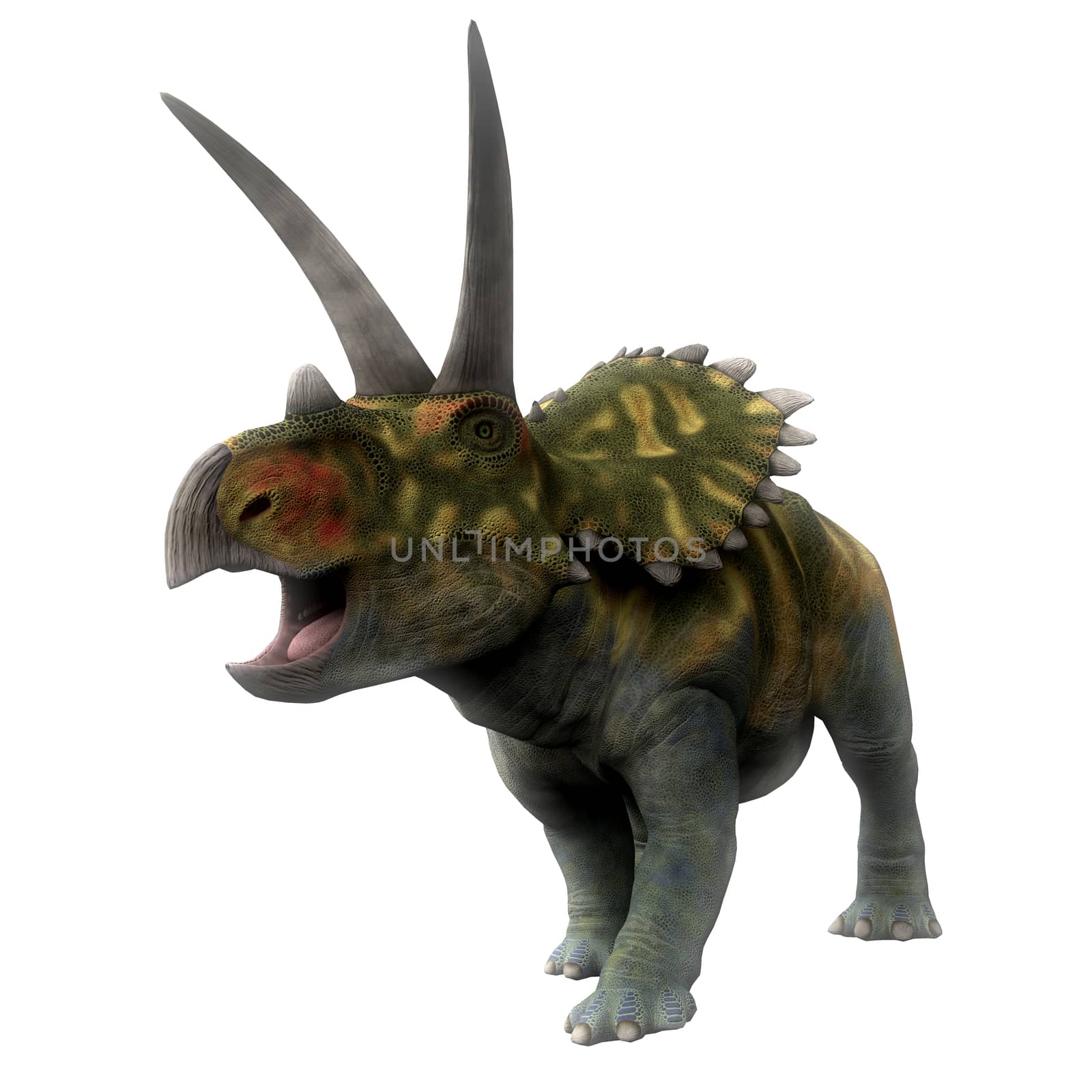 Coahuilaceratops Dinosaur on White by Catmando