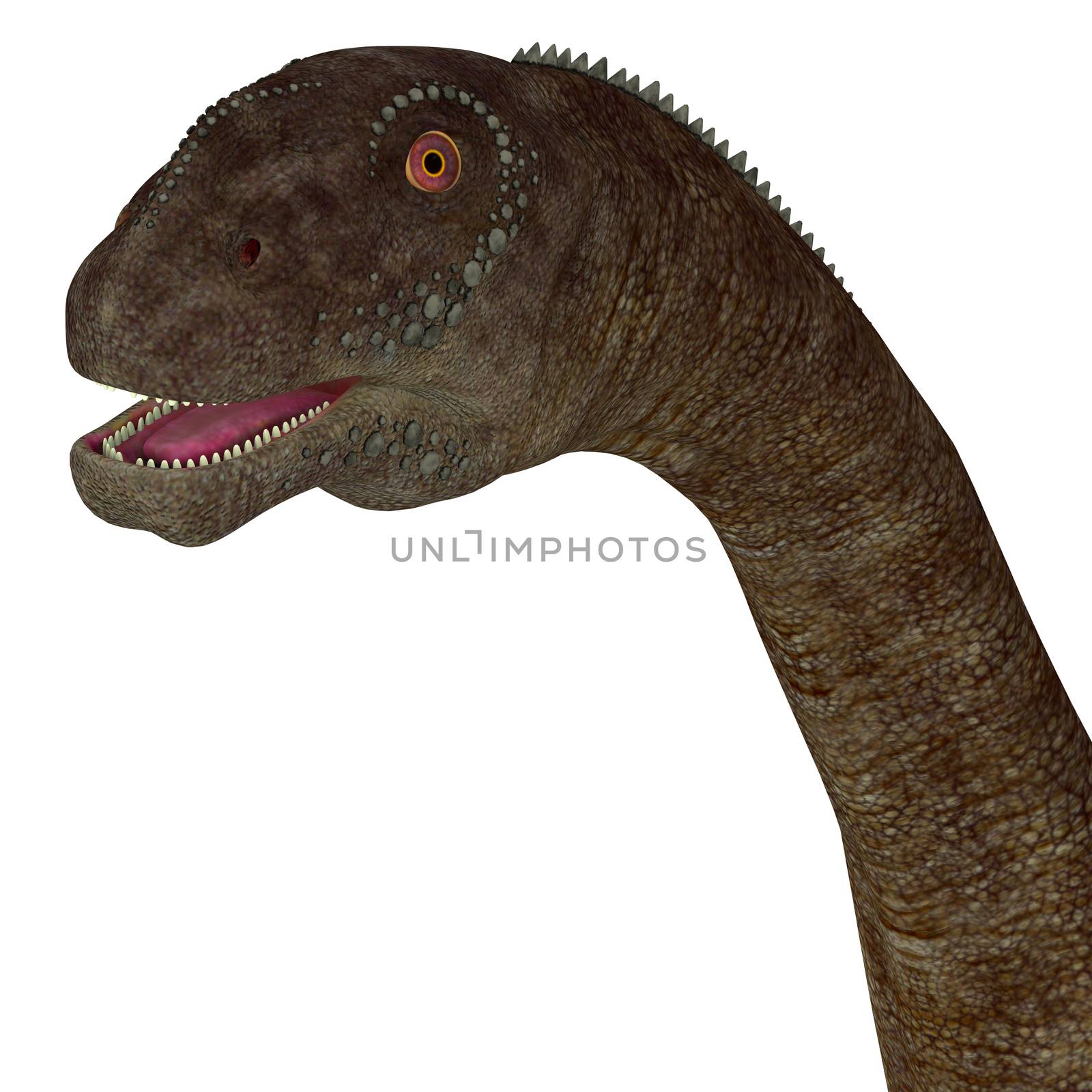 Malawisaurus Dinosaur Head by Catmando